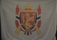 DFS FLAGG 200x145