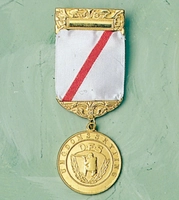 LDKS Ungdomsmedalje Bane, Gylt