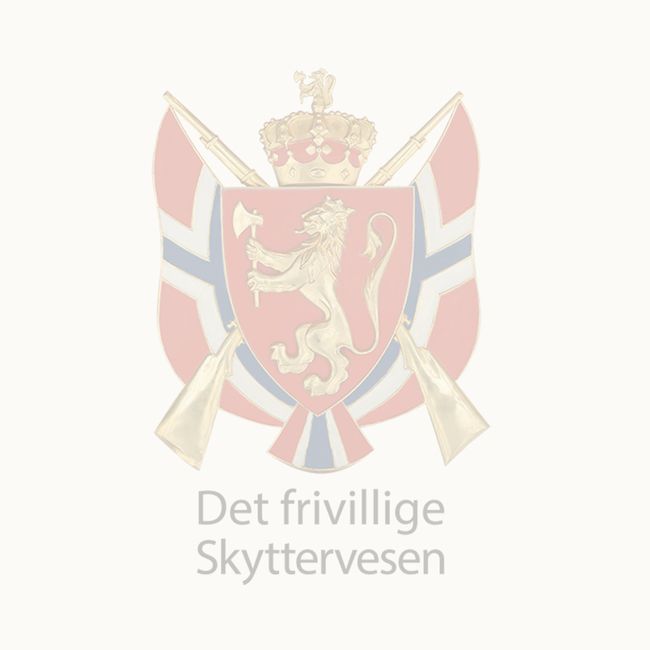 Sikringssleide