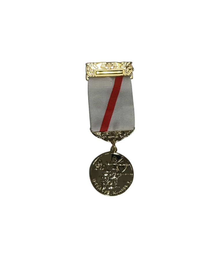 LDKS Medalje Bane/felt kl 1 Gylt