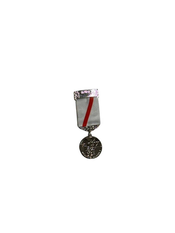 LDKS Medalje Bane/felt kl 1 Sølv