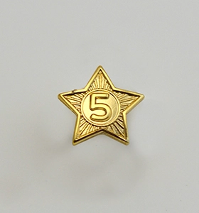 Dugleiksmerkestjerne gylt nr. 5