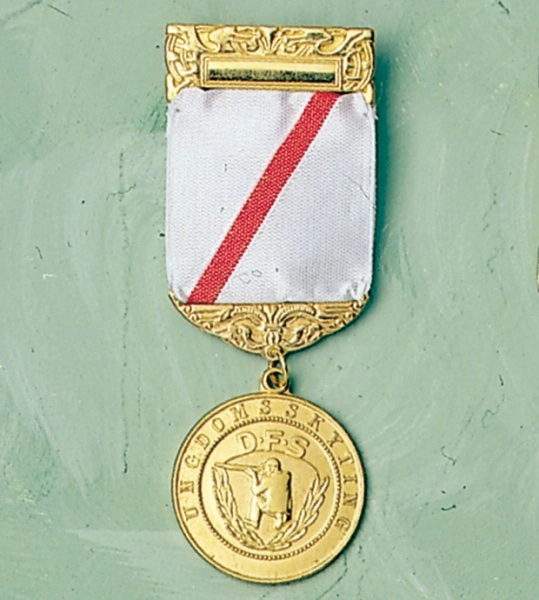 LDKS Ungdomsmedalje Bane, Gylt